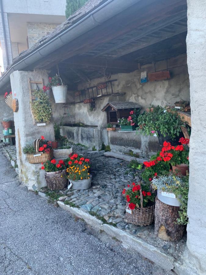 Casa Iolanda Daire Bognanco Dış mekan fotoğraf